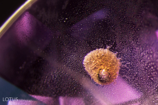 Melted crystal with frozen bubble in sapphire. When a gem is heated, included crystals may melt and cool into a glass. Because the glass takes up less volume than the previous solid crystal, a contraction bubble forms in the glass; FOV ~2.5 mm