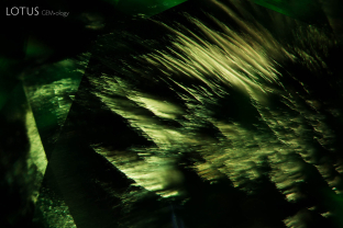 Fibrous “horsetail” inclusions are a typical feature of demantoid garnet; FOV 5 mm