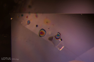 Unusual birefringent crystals in a low-relief partially healed fissure in a sapphire treated with high-temperature heat plus modest pressure (HT+P). When tested with Lotus Gemology’s microraman, they proved to be corundum. It is thought that they crystallized during the treatment process. FOV 2 mm
