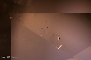 Unusual birefringent crystals in a low-relief partially healed fissure in a sapphire treated with high-temperature heat plus modest pressure (HT+P). When tested with Lotus Gemology’s microraman, they proved to be corundum. It is thought that they crystallized during the treatment process. FOV 2 mm