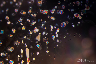 Unusual birefringent crystals in a low-relief partially healed fissure in a sapphire treated with high-temperature heat plus modest pressure (HT+P). When tested with Lotus Gemology’s microRaman, they proved to be corundum. It is thought that they crystallized during the treatment process.