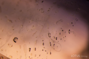 Unusual birefringent crystals in a low-relief partially healed fissure in a sapphire treated with high-temperature heat plus modest pressure (HT+P). When tested with Lotus Gemology’s microraman, they proved to be corundum. It is thought that they crystallized during the treatment process.