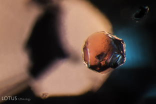 A striking orange crystal stands out from its sapphire host. When we analyzed this crystal with micro Raman, we were able to identify it as a garnet. Garnet is a known inclusion in Tanzanian sapphire like this one.