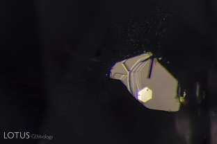 In this negative crystal within an untreated Sri Lanka padparadscha, one can see a high-relief hexagonal plate of graphite, along with a needle of diaspore. The undamaged nature of the negative crystal and diaspore needle confirms that the gem has not been heat treated.