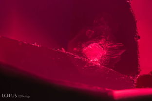 While testing this spinel from Mahenge, Tanzania, we noticed some interesting transparent crystals. Testing with Microraman revealed that this included crystal to be dolomite.