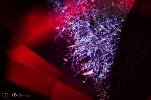 Rutile “silk” in needles, triangular platelets, and small particles like this is a typical scene found in Mozambique ruby.