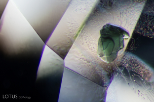 Gems in gems. When we saw this green crystal inside a blue sapphire from Sri Lanka, we were curious what material it could be. Micro raman analysis confirmed that it is a green spinel. 
