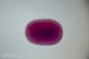 Immersion in di-iodomethane unmasked this ruby as a clever beryllium-diffused stone, probably from Songea, Tanzania. Note the faint surface-conformal orange color rim.
