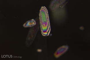 This padparadscha sapphire from Sri Lanka displayed unusual ghost crystals, several of which were cut through on the surface. In reflected light at the surface, they were detectable only by the inclusions in the crystals themselves, showing no difference in luster from the surrounding sapphire, but stood out brilliantly between crossed polars. This identified them as corundum in corundum. Edward Gübelin first identified corundum in corundum in 1940.