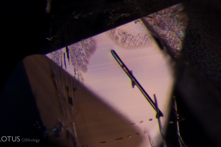 An elongated crystal in this sapphire was identified as grandidierite with micro Raman. Here in crossed polars we can see it display rainbow interference colors.