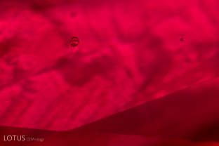 This small rounded crystal caught our attention when examining a ruby from Mong Hsu, Burma. Micro Raman analysis revealed that it is an apatite inclusion.