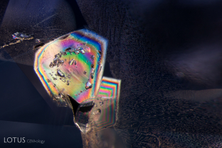 These included hexagonal crystals have inclusions of their own. These are actually sapphire inclusions in sapphire, as shown by their extremely low relief. In darkfield they are hard to distinguish from the surrounding corundum, but in crossed polars it’s apparent that they are different crystals.