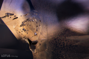 These included hexagonal crystals have inclusions of their own. These are actually sapphire inclusions in sapphire, as shown by their extremely low relief.