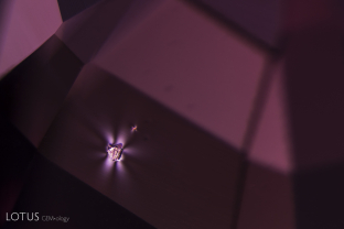 The strain pattern around this crystal in a spinel is evidence when observed between crossed polars.