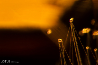 Small angular quartz crystals, identified with micro Raman, are trailed by streams of fine particles and needles. These crystals are suspended in a garnet host. The host mineral was purchased near Ilakaka, Madagascar. Specimen courtesy of Asia Lounges.