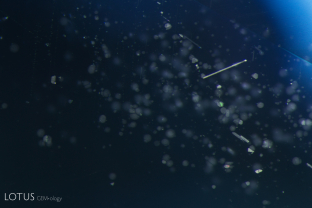 Exsolved platelets, both rounded and with elongated shapes, become visible in this sapphire when illuminated with fiber optic light.