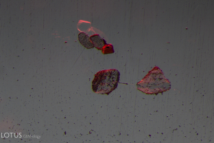 These crystals, cut through on the surface of their spinel host, were identified with micro Raman as magnesite.