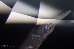 Small glassy discoids embedded in a partially healed fissure provide evidence that this sapphire was heated.