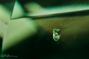 This tsavorite garnet contains a nicely formed apatite crystal in its depths. We confirmed the identity of this crystal with raman microscopy.