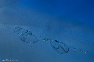 A cluster of negative crystals encapsulate a few tiny black minerals (likely graphite), small needles (likely diaspore), and a gas bubble. This negative crystals display no evidence of heat treatment.