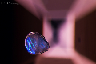 When we saw the criss-crossing twin planes in this crystal inclusion inside a spinel, we thought that it is likely a calcite crystal. This suspicion was confirmed with raman microscopy.