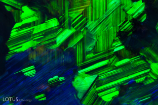 Vibrant zones of color can be seen in this opal.