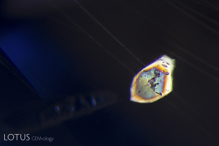 This heat-treated blue sapphire from Sri Lanka featured a corundum crystal included in the sapphire that was cut through on the surface. When viewed between crossed polars, the corundum crystal is brilliantly silhouetted against a dark background.