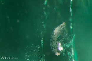 Colombian emeralds crystallize from a saline-based brine, remnants of which can be found as three-phase inclusions featuring jagged-edged liquid-filled pockets containing blocky crystals of halite (sodium chloride—rock salt).