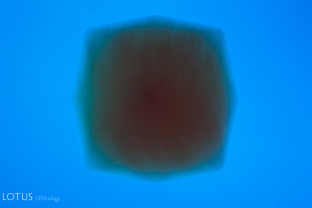 When a blue filter is used, the curved growth lines in the gem become visible.