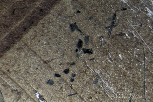 Black crystals cut through on the surface of a gold sheen star sapphire from Kenya. We identified these via micro Raman as magnetite, an Fe-rich member of the spinel group.