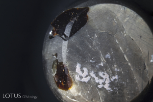 This black star sapphire from Chanthaburi, Thailand has large pits on the base filled with a brown dopping varnish.