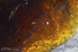 This black star sapphire from Chanthaburi, Thailand has large pits on the base filled with a brown dopping varnish. Careful examination reveals gas bubbles trapped in the varnish.