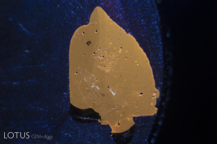 This black star sapphire from Chanthaburi, Thailand has large pits on the base filled with a brown dopping varnish. Long wave ultraviolet light shows the varnish fluoresces orange. Note the pits on the surface of the varnish where gas bubbles were cut through.