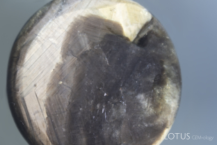 This black star sapphire had large pits on the base filled with dopping varnish. Following removal of the varnish by soaking in alcohol, the 75-ct stone lost about 0.25 ct of weight. But careful examination after the varnish removal revealed something far more sinister, a layer of glass coating the inside of the cavities. In addition, we could see the the glass extended across much of the base, as clearly revealed after immersing the gem in di-iodomethane.