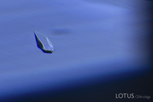 Apatite is one of the most common inclusions in sapphire. Many appear as dogtooth shapes, such as this example in a Sri Lanka sapphire. It was identified using micro Raman.