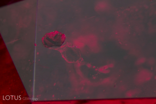 This ruby from central Madagascar featured a large crystal that was cut through on the surface. Using micro Raman, we identified the crystal as phlogopite mica.