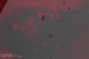 In this ruby from Central Madagascar, we noticed a large number of prismatic crystals that resembled apatite. Micro Raman testing of four cut through on the surface confirmed that they were fluorapatite. Since apatite has yet to be found in rubies from Mozambique, this provides an excellent means of separation.