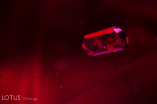 In this ruby from Central Madagascar, we noticed a large number of prismatic crystals that resembled apatite. Micro Raman testing of four cut through on the surface confirmed that they were fluorapatite. Since apatite has yet to be found in rubies from Mozambique, this provides an excellent means of separation.