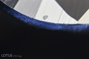 Two small sapphires were submitted to Lotus Gemology for testing. Both were said to come from Kashmir (Sumjam, India). One of the stones had a small transparent crystal grain cut through on the surface, as shown in the center of this photo. Using micro Raman, we identified the inclusion as anorthite feldspar. Feldspars are common in Kashmir sapphire. On the other hand, apatite has not been reported in Kashmir sapphire, but it is common in Sri Lankan and Madagascar sapphires.