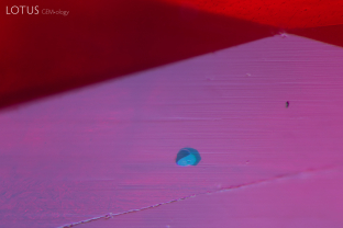The different lusters of this crystal cut through on the surface of a Mozambique ruby reveal that the inclusion is actually made of two different components. Micro Raman spectroscopy confirmed the identity of the higher luster (brighter) area as chromite and the lower luster (darker) area as pargasite.