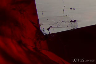 In this ruby believed to originate from Mozambique’s Montepuez area, a crystal was cut through on the surface. Closer examination revealed it to be composed of several solid phases. Micro Raman revealed the largest portion (left) to be zoisite, while the lower right area was margarite mica, with areas of clinochlorite and pargasite. To the best of our knowledge, this is the first reported occurrence of zoisite and clinochlorite in ruby from Mozambique.