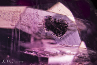 In this ruby from Pakistan’s Batakundi mine, large transparent crystals with embedded black grains were observed. One crystal was cut through on the surface and via micro Raman analysis was found to consist of calcite, anorthite feldspar and graphite grains.