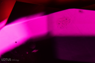 An extremely low relief hexagonal crystal with small inclusions inside can be seen in this Mozambique ruby. We have not yet been able to identify this crystal.
