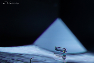 Peering through one tiny facet at the edge of the girdle, we are able to see a small diopside crystal (confirmed with micro Raman) in this blue spinel.