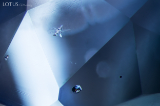 An interesting inclusion scene in sapphire from Burma (Myanmar). At the top center we see a cluster of zircon crystals and at the bottom center is a molybdenite crystal. The identities of these crystals were confirmed with Raman spectroscopy.