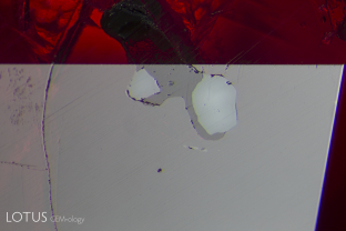 We noticed transparent crystals cut through on the surface of this ruby from Mozambique’s Montepuez region. Micro Raman revealed the lower luster crystal to be pargasite (amphibole), while the two higher relief crystals tested as spinel. Because their luster is even higher the surrounding ruby, their refractive index is above 1.77. This suggests that rather than being pure spinel (MgAl2O4), they are probably mixed with another species, such as chromite (Fe2+Cr3+2O4). Chromite has an RI of 2.08 to 2.16.
