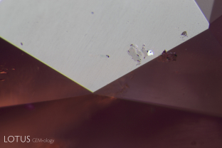This pink sapphire contained irregular transparent crystals with black crystals embedded in them. Analysis by micro Raman revealed them to be dravite tourmaline with embedded primary rutile.
