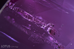 Elongated crystals of a pale brown color were identified via micro Raman as phlogopite mica. Embedded in them were black crystals of primary rutile.