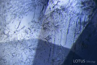 Burmese sapphires from the Mogok Stone Tract often contain fissures with a characteristic dendrite-like healing pattern such as that exhibited here. Such features represent subtle clues regarding their origin.
