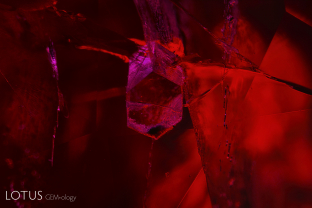 Solid inclusions are a relatively rare sight in rubies from Myanmar’s Mong Hsu area. This perfectly formed hexagonal prism cut through on the surface, not unexpectedly, turned out to be fluorapatite, as proven by micro Raman.